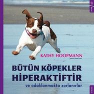 Sola Kidz Bütün Köpekler Hiperaktiftir ve Odaklanmakta Zorlanırlar