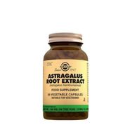Solgar Astragalus Root Extract 60 Kapsül