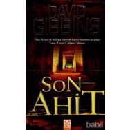 SON AHIT - DAVID GIBBINS