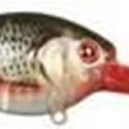 Spro Ikıru CRANK-SL Sfl Roach Suni Yem