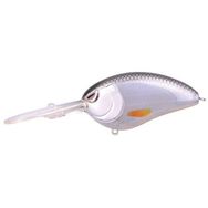 Spro Lj Baby Dd 60 Spooky Roach Suni Yem