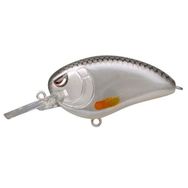Spro Lj John 50 Md Spooky Roach 5 Pcs Suni Yem