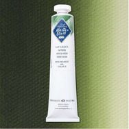 St.Petersburg Master Class 46 ml S:1 Sap Green 716 Yağlı Boya