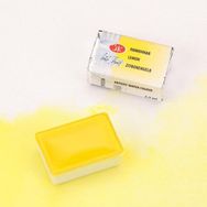 St.Petersburg White Nights Extra-Fine Tam 2.5 ml Lemon 214 Tablet Sulu Boya
