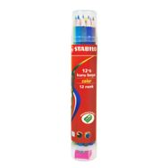 Stabilo Color 12'li Plastik Tüp Kuru Boya