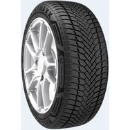 Starmaxx 205/55 R16 91H Maxx Out ST582 Dört Mevsim Lastiği