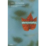 ŞUBATTA SAKLAMBAÇ - ZAFER EKIN KARABAY