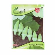 Sunagri 10 gr Bamya Tohumu