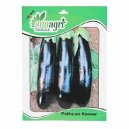 Sunagri Kemer Patlıcan Sebze Tohumu