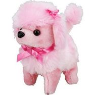 Sunman Sevimli Köpek Poodle