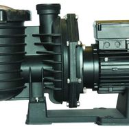 Superpool Scpa Serisi 4 Hp Monofaze Havuz Pompası