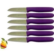 Sürbisa 61007 Mor Saplı 6 Parça Meyve Bıçağı