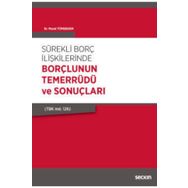 Sürekli Borç İlişkilerinde Borçlunun Temerrüdü ve Sonuçları