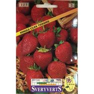 Sveryverts Çilek Tohumu