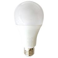 Svs 15 Watt 6500K Beyaz Led Ampul
