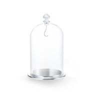 Swarovski 5527606 Bell Jar Dısplay, Large Ev Dekorasyonu Objesi