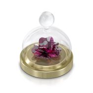 Swarovski 5619223 Biblo