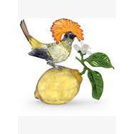 Swarovski 5651811 Idyllia Royal Flycatcher Biblo