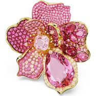 Swarovski 5657282 Kadın Yüzük