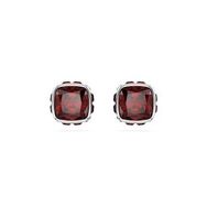 Swarovski 5660798 Kadın Küpe