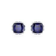 Swarovski 5660803 Kadın Küpe