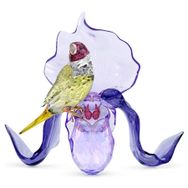 Swarovski 5675211 Idyllia Gouldian Finch And Orchid Biblo