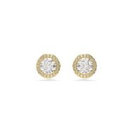 Swarovski 5686637 Kadın Küpe