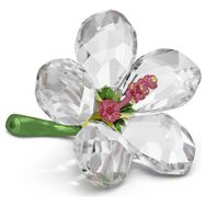 Swarovski 5690534 Florere Hibiscus S Biblo