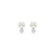 Swarovski 5694225 Kadın Küpe