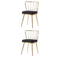 Sweet Home 2 Adet Metal Ayak Güneş Gold Mutfak Salon Yemek Odası Sandalyesi