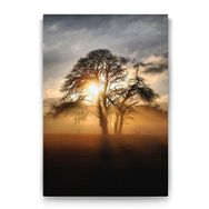Tabloshop Ağaç ve Güneş 60x90 cm Tablo