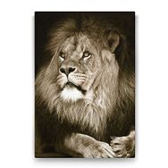 Tabloshop Aslan 70x100 cm Tablo