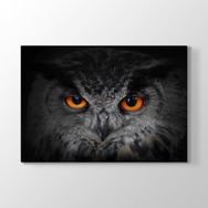 Tabloshop Baykuş Gözleri 75x50 cm Tablo