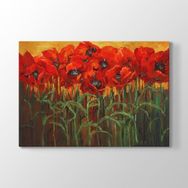 Tabloshop Gelincik Çiçeği Tarlası 60x40 cm Tablo