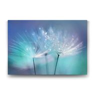Tabloshop Karahindiba 100x70 cm Tablo