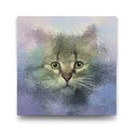 Tabloshop Kedi 100x100 cm Tablo