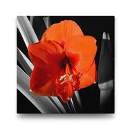 Tabloshop Kırmızı Soyut Çiçek 100x100 cm Tablo