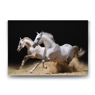 Tabloshop Koşan Beyaz Atlar 125x80 cm Tablo