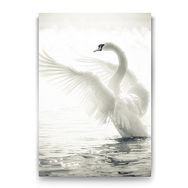 Tabloshop Kuğu 40x60 cm Tablo