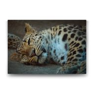 Tabloshop Leopar 140x100 cm Tablo