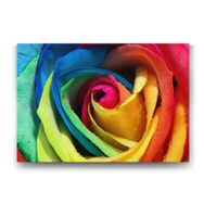 Tabloshop Rengarenk Gül 75x50 cm Tablo