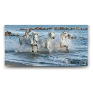 Tabloshop Sahilde Koşan Atlar 140x70 cm Tablo