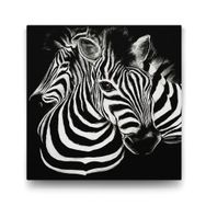 Tabloshop Siyah Beyaz Zebra 60x60 cm Tablo