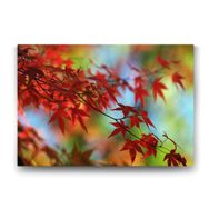 Tabloshop Sybilla Kanvas 60x40 cm Tablo