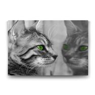Tabloshop Yeşil Gözlü Kedi 75x50 cm Tablo