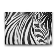 Tabloshop Zebra 100x70 cm Tablo
