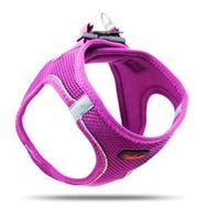 Tailpetz Air-Mesh Harness Large Mor Köpek Göğüs Tasması