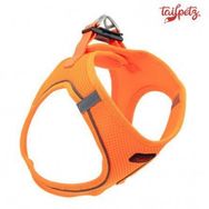 Tailpetz Air Mesh Neo Turuncu Köpek Göğüs Tasması