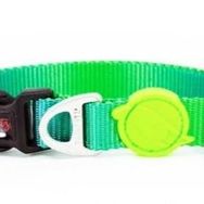 Tailpetz Amazon Collar L Köpek Boyun Tasması