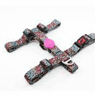 Tailpetz Graffiti Medium Göğüs Tasması